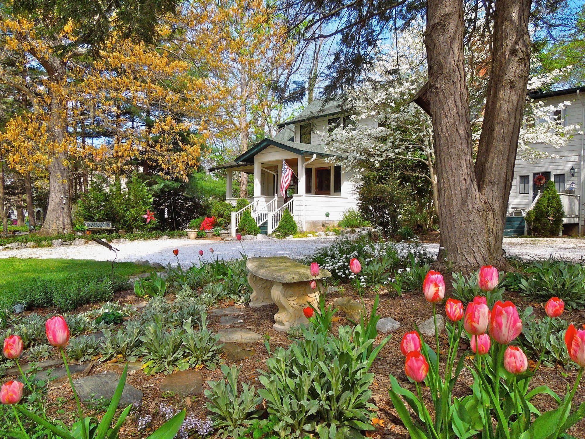 Oakland Cottage Bed And Breakfast Asheville Exterior photo